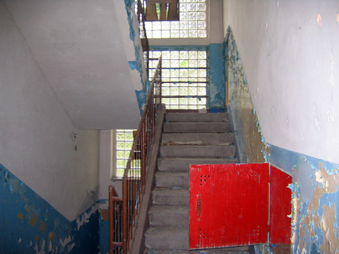 Foto 50